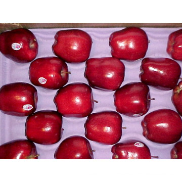 Sweet Red Fresh Huaniu Apple Supplier